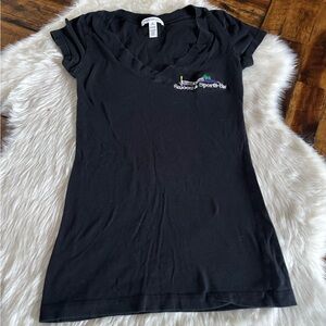 Ambiance Black V-Neck Tee with Embroidered Detail